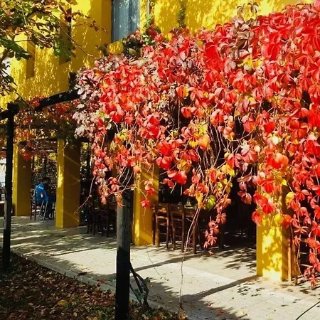 Cascina Bosco Gerolo Κατάλυμα σε φάρμα *
