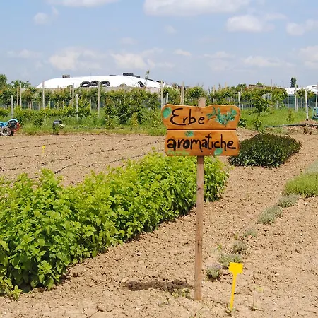 Cascina Bosco Gerolo Rivergaro