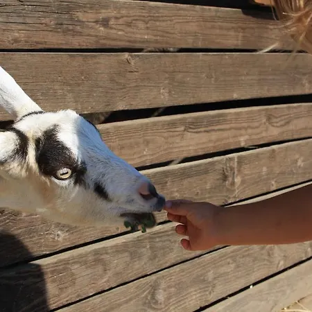 Cascina Bosco Gerolo Κατάλυμα σε φάρμα *