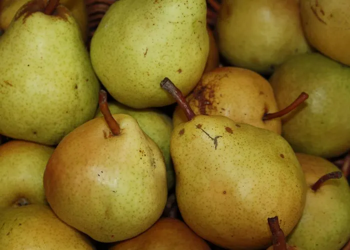 Cascina Bosco Gerolo * Rivergaro