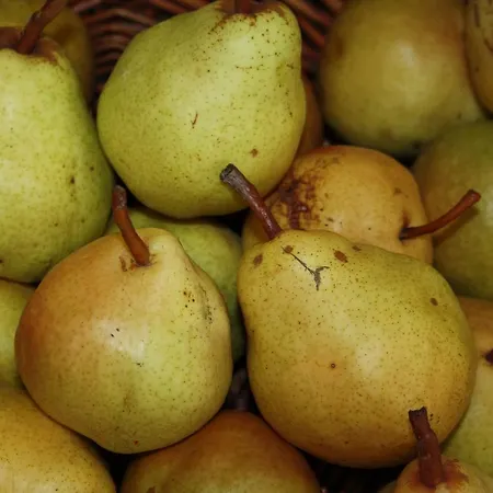 Cascina Bosco Gerolo * Rivergaro