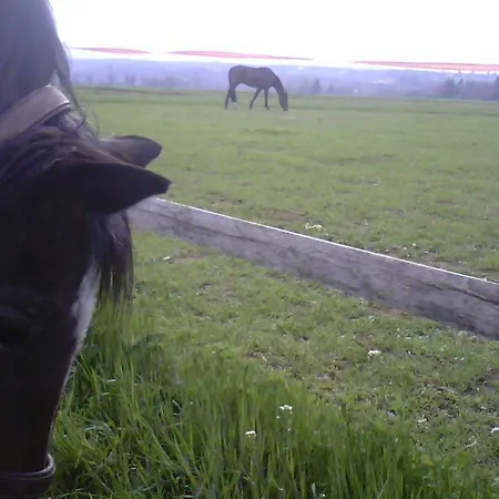 Farmház Cascina Bosco Gerolo Rivergaro
