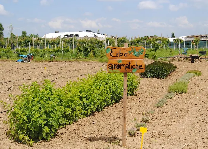 Cascina Bosco Gerolo Ривергаро