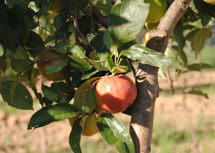 Cascina Bosco Gerolo 리버가로