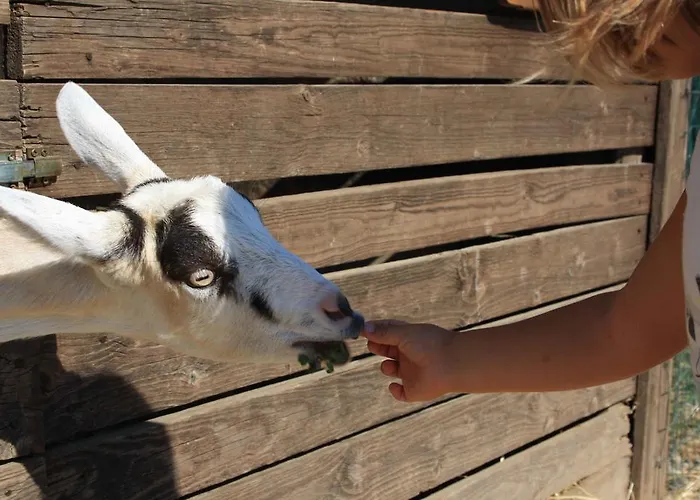 Cascina Bosco Gerolo 팜스테이 *