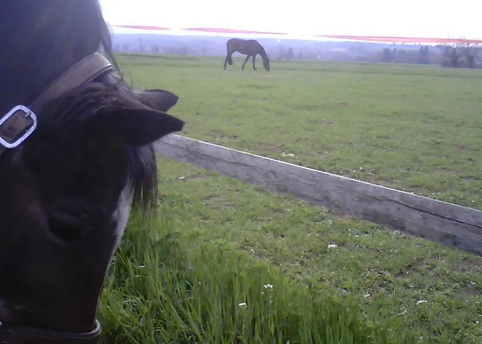 팜스테이 Cascina Bosco Gerolo 리버가로